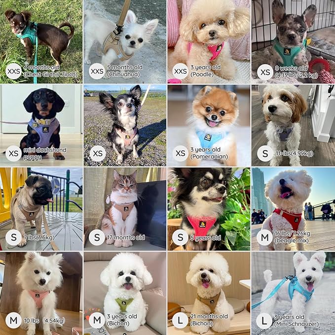 BELLA & PAL Step in Vest Harness for Small and Medium Dogs, No Pull Small Dog Harness with Leash Set, Comfortable Air Mesh Dog Vest Harness with Reflective Strip (Red, XXS)