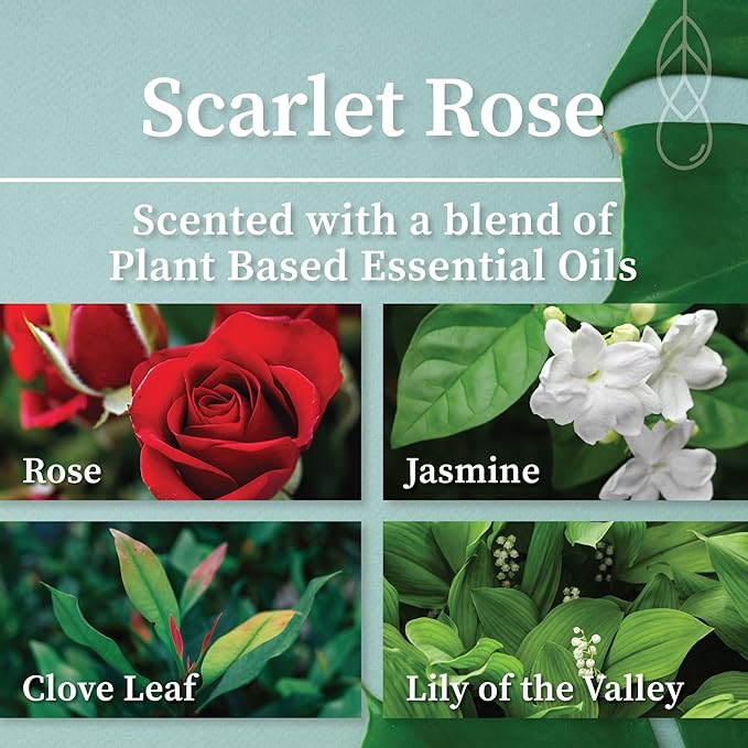 Hemlock Park Amber & Gold Wood Wick Candle Handcrafted with Natural Coconut Wax (Standard 7.2 oz, Scarlet Rose)