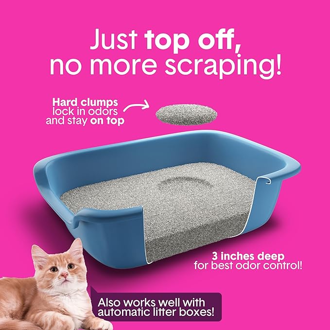 Boxie Glo Clumping Clay 30 Day Odor Control Cat Litter, 99.9% Dust-Free, Low Tracking, UV Light Attractant, 28 lb