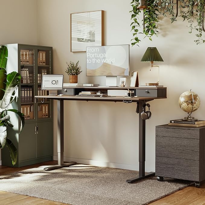 Agilestic 53 x 24 Inches Height Adjustable Electric Standing Desk with 2 Drawers, Stand Up Electric Desk Adjustable Height, Sit Stand Computer Gaming Table with Splice Board, Rustic Brown