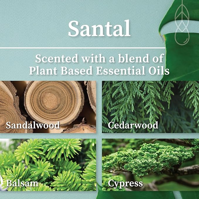 Hemlock Park Crackling Wood Wick Candle Handcrafted with Natural Coconut Wax (Large 16 oz, Santal)