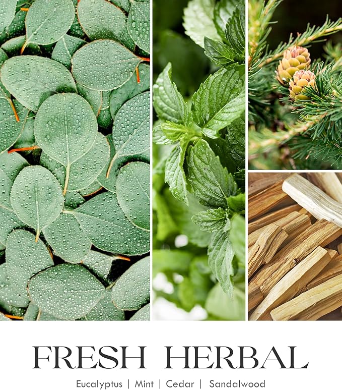 AOOVOO Eucalyptus Mint Candle - Large Scented Soy Wax Aromatherapy Candle, 22oz