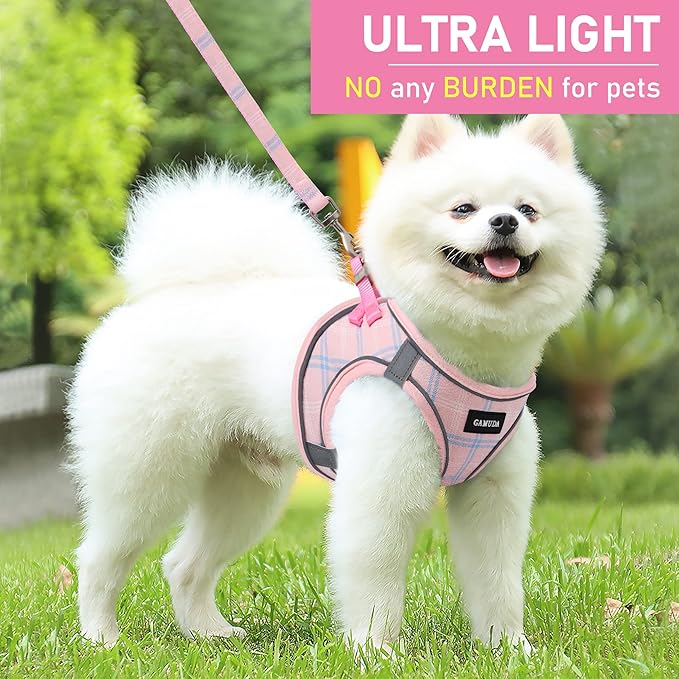 GAMUDA Small Dog Harness Collar and Leash Set, Step in No Chock No Pull Soft Mesh Adjustable Dog Vest Harnesses Plaid Reflective for Dogs Puppy Cats Kitten Rabbit (Pink, XXS)
