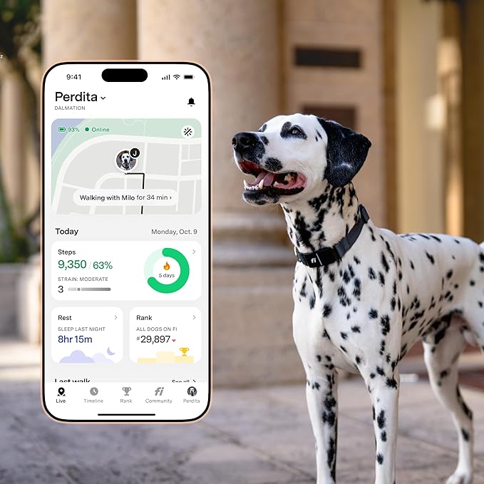 Fi New Series 3+ Smart Dog Tracker Collar [12 Month Membership Included] GPS Tracker for Dogs with Health & Behavior Monitoring, Escape Alerts, Waterproof, LED, Apple Watch Compatible (Yellow, Small)