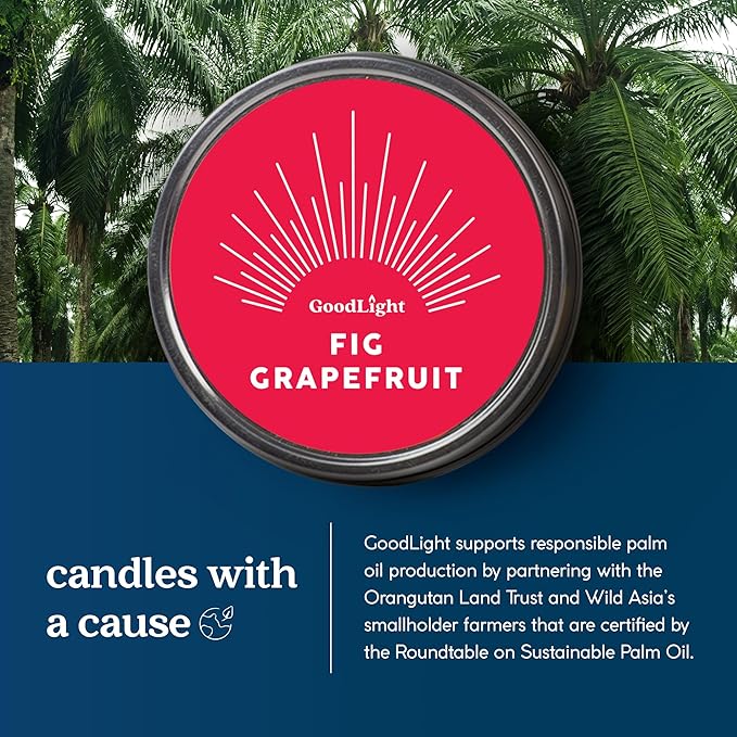 GoodLight Paraffin-Free Scented Candle, Tin Candles, Birthday Gifts for Women & Men, 30-Hour Burn Time (Fig Grapefruit, 6 oz)