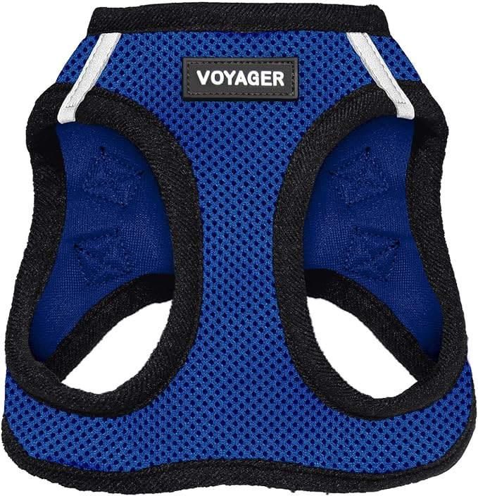 Best Pet Supplies Voyager Step-in Air Harness - All Weather Mesh, Reflective, No Pull Harness for Dogs, Cats - Secure with Hook & Loop Fastener, Buckle, Double D-Rings - Royal Blue/Black Trim, XS