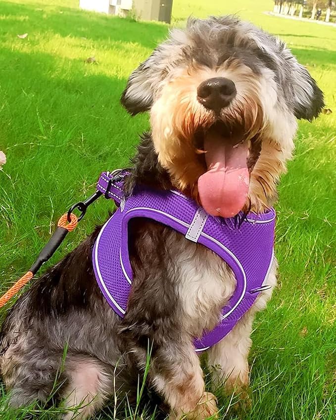 Joytale Small Dog Harness, Breathable Mesh Step-in Vest, Reflective Soft Padded Harnesses for Small and Medium Dogs, Purple, L