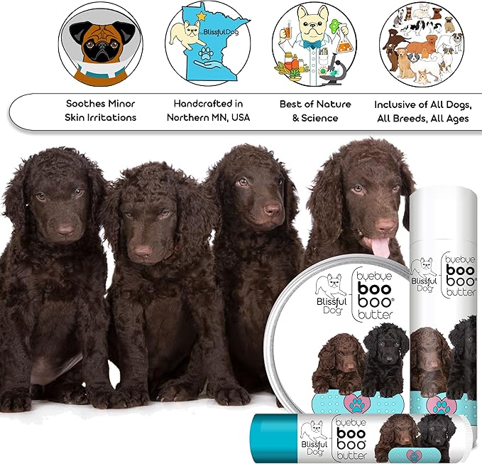 The Blissful Dog Curly Coat Retriever Boo Boo Butter, 16 oz.