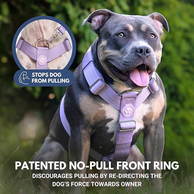 Spark Paws No Pull Dog Harness for Large Dogs, Heavy Duty Dog Harness for Big Strong Breeds, Adjustable, Y Shaped Padded Halter Design with Front Clip - Purple - Small