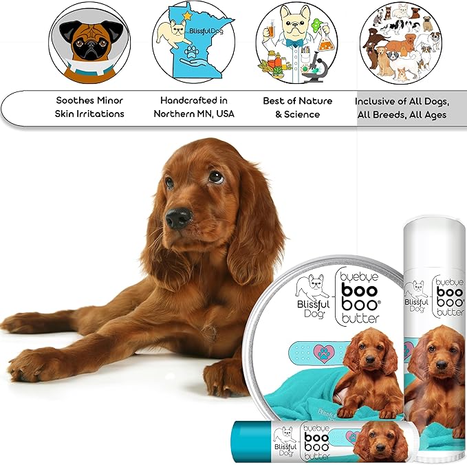 The Blissful Dog Irish Setter Boo Boo Butter, 2 Ounce