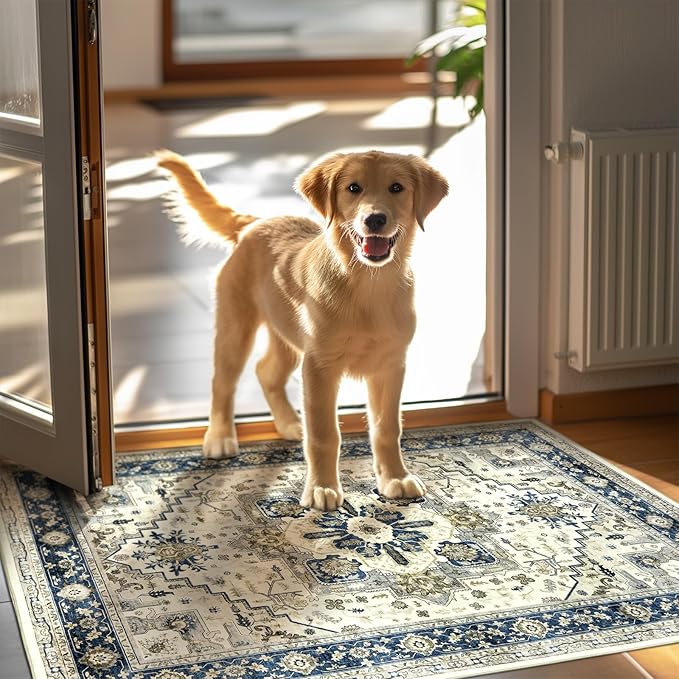 Small Rugs Door Mat 2x3 - Washable Entry Area Rugs Entrance Floor Carpet Non-Slip Door Mat Thin Rug Low-Pile Doormat for Bedroom Kitchen