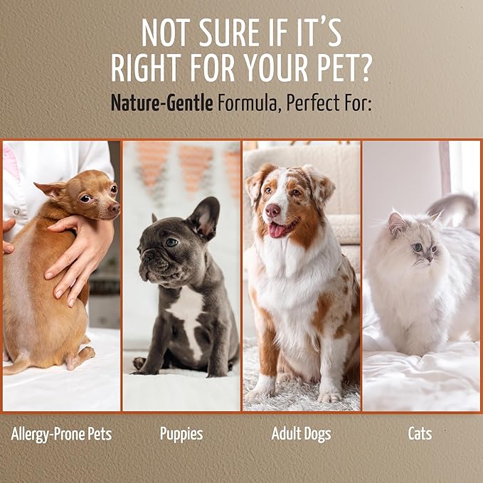 Tauro Pro Line Dog Itchy Skin Relief Cream – Dog Moisturizer for Dry, Itchy Skin – Soothes Itching & Rashes, Gentle for Cats & Puppies (Derma Care 2.5 Fl Oz)