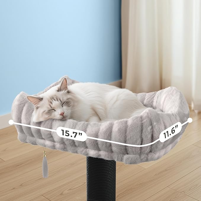 Modern Scratching Post for Indoor Cats - 15” High Cat Scratching Post with Bed Breeds - 15.7” x 11.6” Removable & Washable Cushion (Black Post with Gray Bed)