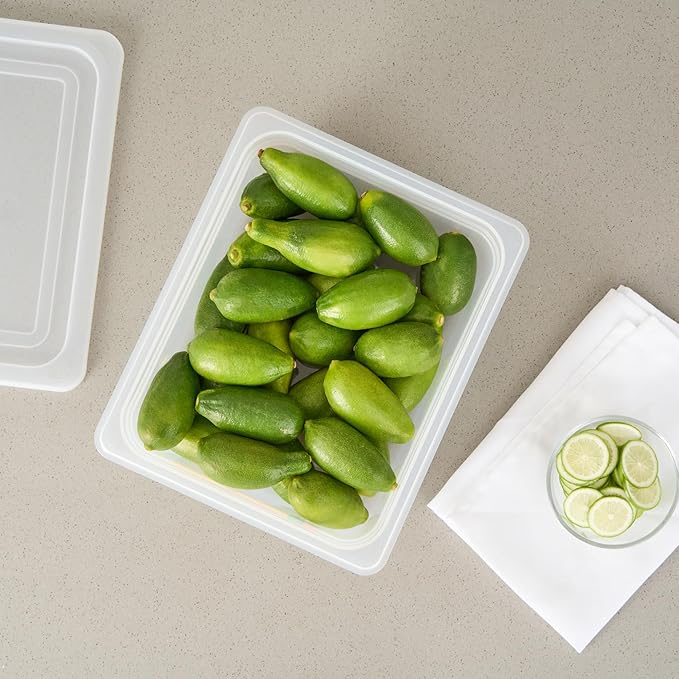 Restaurantware Food Pans Pack of 10 Plastic Rectangle Food Containers Half Size with Traceability Label, Storage Containers Dishwashable Hot Cold Friendly for Restaurants Buffet Commercial Use