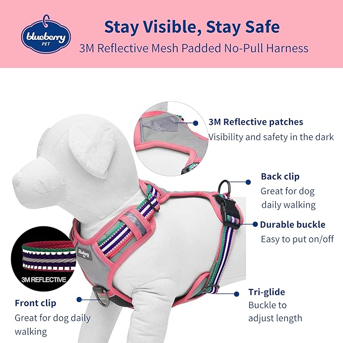 Blueberry Pet Soft 3M Reflective Dog Harness Vest | Mesh Padded No-Pull Harness with Back Clips | Multicolor Stripe in Pink, Emerald and Orchid| Adjustable for Small Dogs