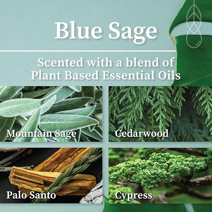 Hemlock Park Crackling Wood Wick Candle Handcrafted with Natural Coconut Wax (Large 16 oz, Blue Sage)