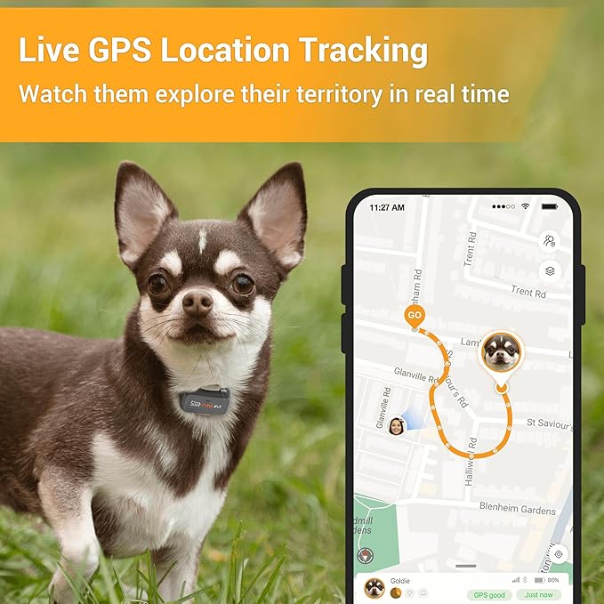 Lite for Small Dogs 4g GPS Tracker | Real Time Tracking | Activity Monitoring |Location History | Unlimited Range | Charcoal Grey