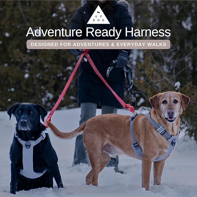 Strong & Secure Magnetic Dog Harness with Easy Lock Buckle - Comfortable No-Pull Vest for Small, Medium & Large Dog Breeds (Small)