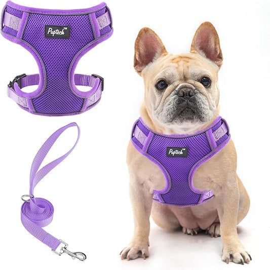 PUPTECK Small Dog Harness and Leash Set, No Pull Adjustable Puppy Cat Harness, Reflective Soft Mesh Pet Vest Medium Sized