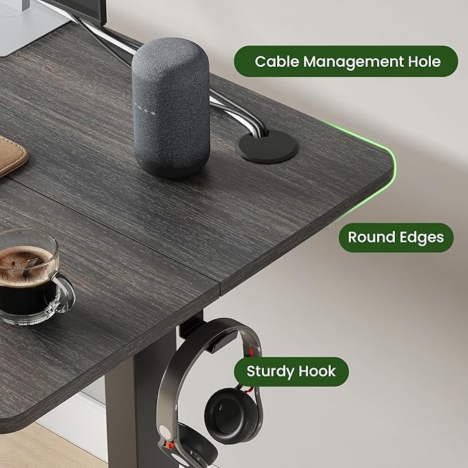 Casaphoria 40 x 24 inches Inch Electric Standing Desk, Sit to Stand Desk with Memory Height Adjustment, Home Office Computer Desk for Writing and Games, Grey