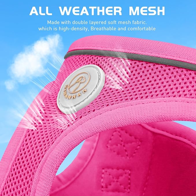 Soft Mesh Dog Harness and Leash Set, No Pull Puppy Harness and Leash Set, Reflective Step in Harness for Small Medium Dogs, Easy Walk Escape Proof Vest Harnesses (Rose Red, M)