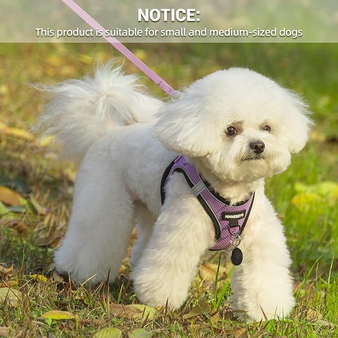 Dog Harness and Leash Set, Dog Harness for Dogs No Pull, No-Chock Step-in Reflective Breathable Lightweight Easy Walk Vest Harnesses with Safety Buckle for Small Medium Dogs, Cats (Light Purple, XS)