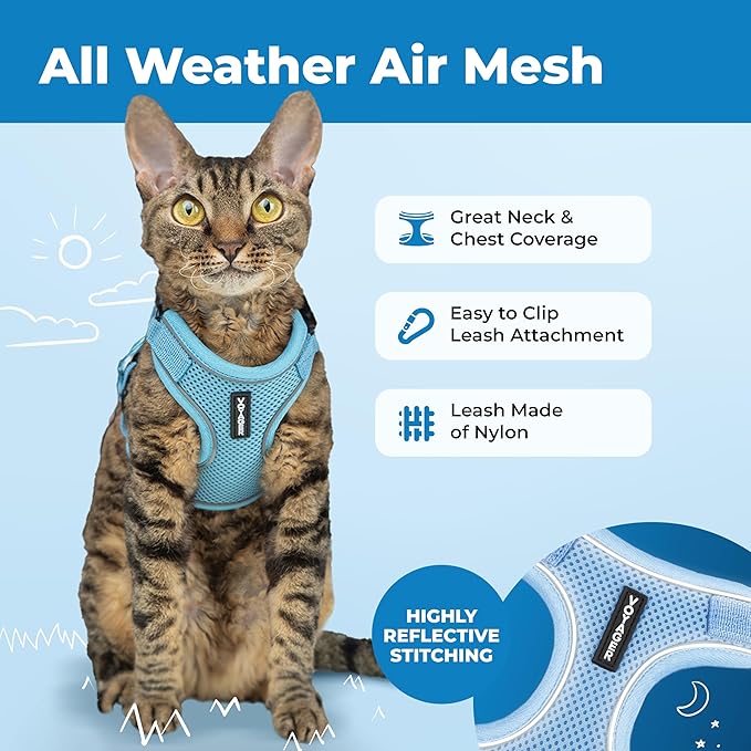 Voyager Escape Proof Cat Harness and Leash Set with Reflective Stitching, Neoprene Handle 5ft - Supports Small, Medium and Large Cats, Kittens for Walking by Best Pet Supplies - Baby Blue, XS