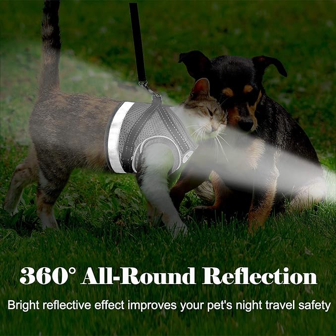 Cat Harness and Leash for Walking, Kitten Escape Proof Harnesses, Adjustable Reflective Puppy Harness with Leashes Set, Easy Adjustable Soft net Breathable Pet Safety Vest M (Chest: 12" - 14") Grey