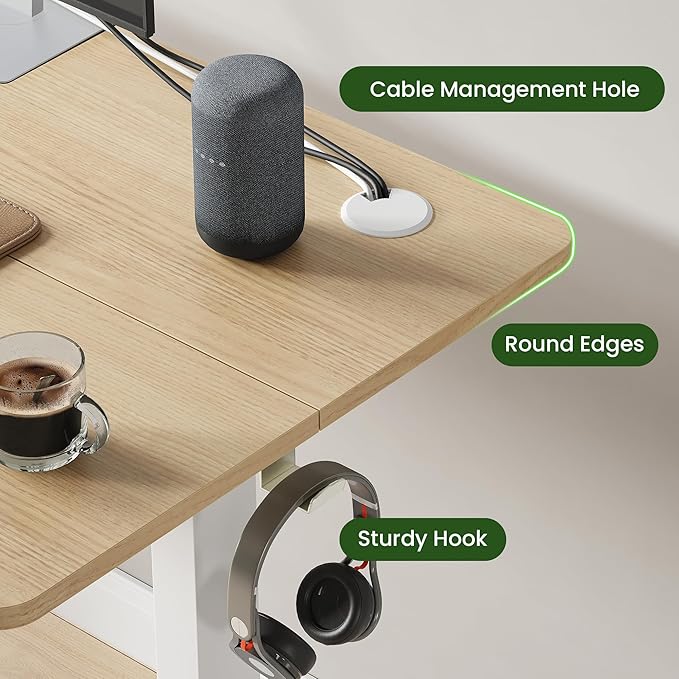 Casaphoria 55 x 24 inches Electric Standing Desk, Sit to Stand Desk with Memory Height Adjustment, Home Office Computer Desk for Writing and Games, Oak