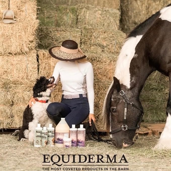 EQUIDERMA (2 Pack) Horse Skin Lotion with 10‑Count Pet Faves Pet Wipes – Gentle Soothing Relief for Cannon Bone, Mane & Tail Irritation, Dry Skin & Scabs