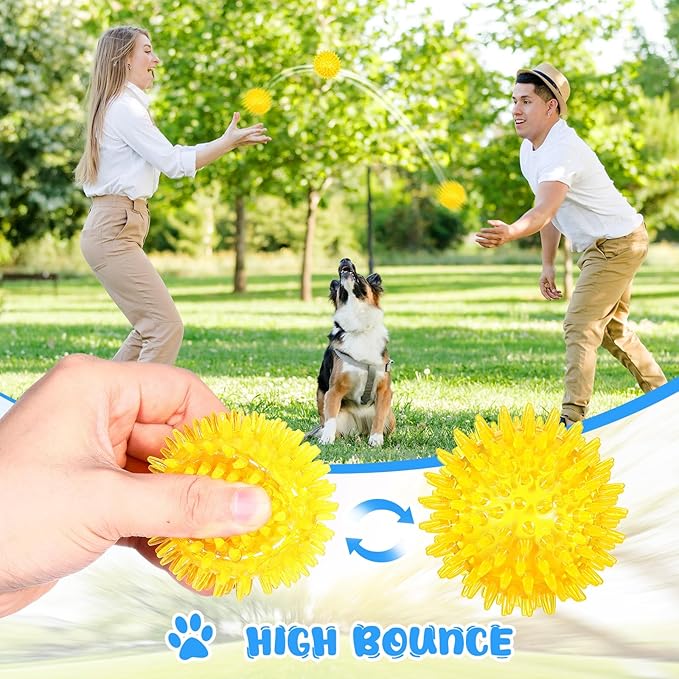 24 Pack Squeaky Dog Toys Balls 2.56'' Spiky Dog Balls Floating Pool TPR Puppy Fetch Chew Toy for Small Medium Doggy Aggressive Chewers Clean Teeth Training(Blue, Green, Orange, Purple, Red, Yellow)