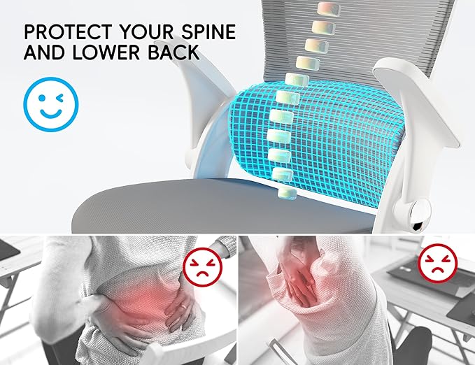 TRALT Ergonomic Office Chair - Comfy Desk Chair with Back Support, Home Office Desk Chairs, Computer Chair, 330lbs Wide Seat Big and Tall Office Chair for Executives (Grey)