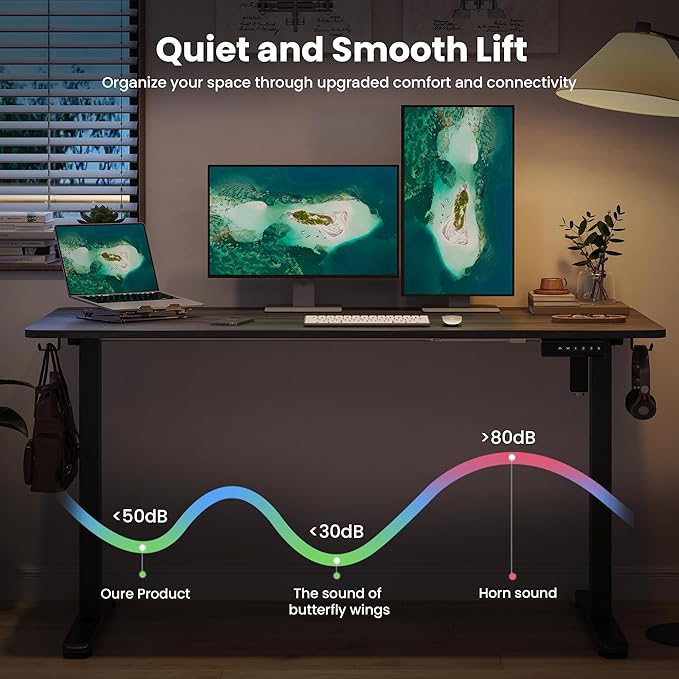 Casaphoria 55 x 24 inches Electric Standing Desk, Sit to Stand Desk with Memory Height Adjustment, Home Office Computer Desk for Writing and Games, Grey