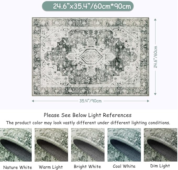 Moynesa Ultra-Thin Washable Area Rug - 2x3 Small Grey Front Door Rug Kitchen Mat, Non Slip Non Shedding Pet Friendly Bathroom Carpet for Office Laundry Powder Room Bedside Hardwood Floor