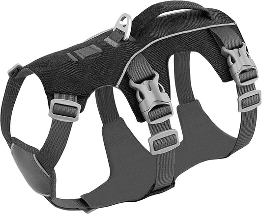 Escape Proof Dog Harness with Handle - Reflective No Pull Dog Vest, Lightweight Full Body Pet Harness Adjustable for Small Dogs Walking,Training(Blue,Chest:14-22")