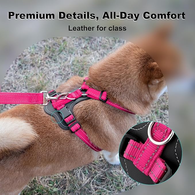Plutus Pet Adjustable No Pull Dog Harness with Leather Accents, Heavy Duty Reflective Nylon Vest for Training, Hiking, Easy Walk Harness for Small, Medium, Large Dogs (Hot Pink, S)