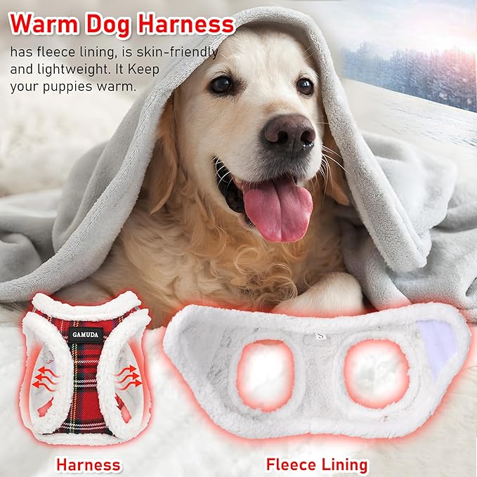 GAMUDA Small Dog Harness Collar and Leash Set, Step in No Chock No Pull Soft Mesh Adjustable Dog Vest Harnesses Plaid Reflective for Dogs Puppy Cats Kitten Rabbit (Warm Red, XS)