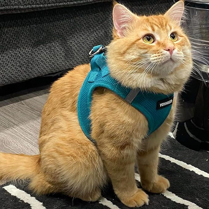Best Pet Supplies Voyager Step-in Air Harness - All Weather Mesh, Reflective, No Pull Harness for Dogs, Cats - Secure with Hook & Loop Fastener, Buckle, Double D-Rings - Turquoise, L