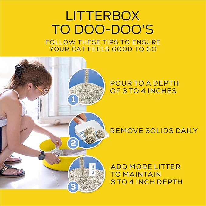Purina Tidy Cats Lightweight 4-in-1 Strength Multi-Cat, Odor Control, Clumping, 99.9 Percent Dust Free Cat Litter - 12 lb. Box