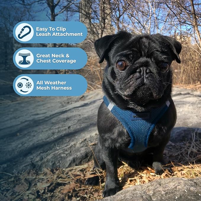 Best Pet Supplies Voyager Step-in Air Harness - All Weather Mesh, Reflective, No Pull Harness for Dogs, Cats - Secure with Hook & Loop Fastener, Buckle, Double D-Rings - Blue, S
