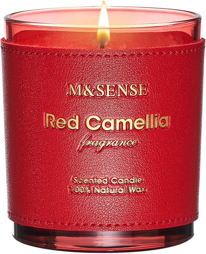 M&SENSE Citrus Floral Scented Soy Candles, Vegan Soy Candle,10oz 42-Hour Long Last Burning Time, No Toxin Bathtub Relaxing Stress Relief Fall Winter Home Fragrance Thanksgiving Christmas Gifts