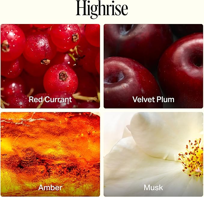 Preston Lane Luxury 2-Wick Scented Candle, Highrise, 7.5 oz Hand-Poured in USA | Long Burn Time (20-30 Hrs), Vegan Soy Wax Blend, Decorative Glass Vessel, Fine Italian Fragrance