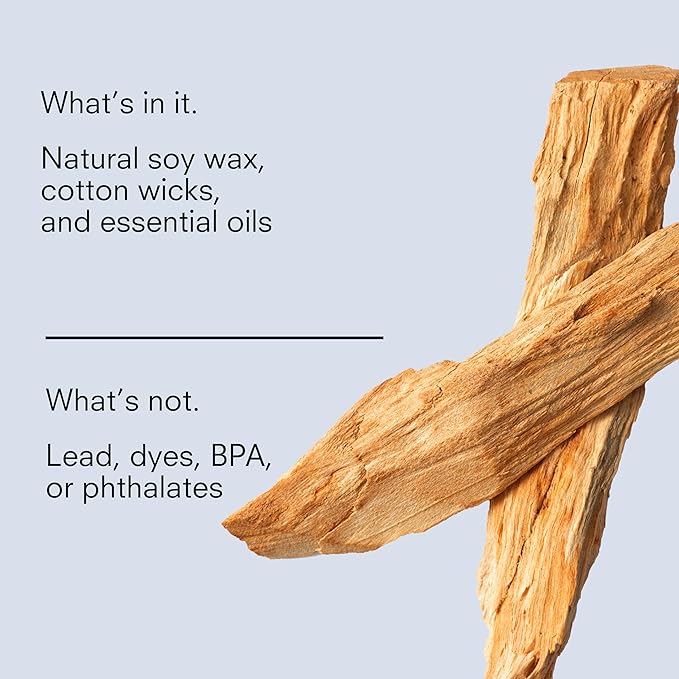 Public Goods Scented Soy Candle for Women & Men | Large 3 Wick Glass Candle | Long Lasting & Non Toxic | Made with Natural Soy Wax & Organic Essential Oils | Gift Box | 12.3oz Jar | Cedar & Suede