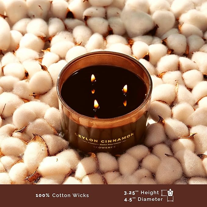 Luxury Cinnamon Scented Fall Candle - Housewarming Fall & Christmas Candle for Home - Elegant Gift for Women & Men - 100% Natural Soy Wax - Large 3 Wick Jar Candle - Up to 40 Hours Burning Time