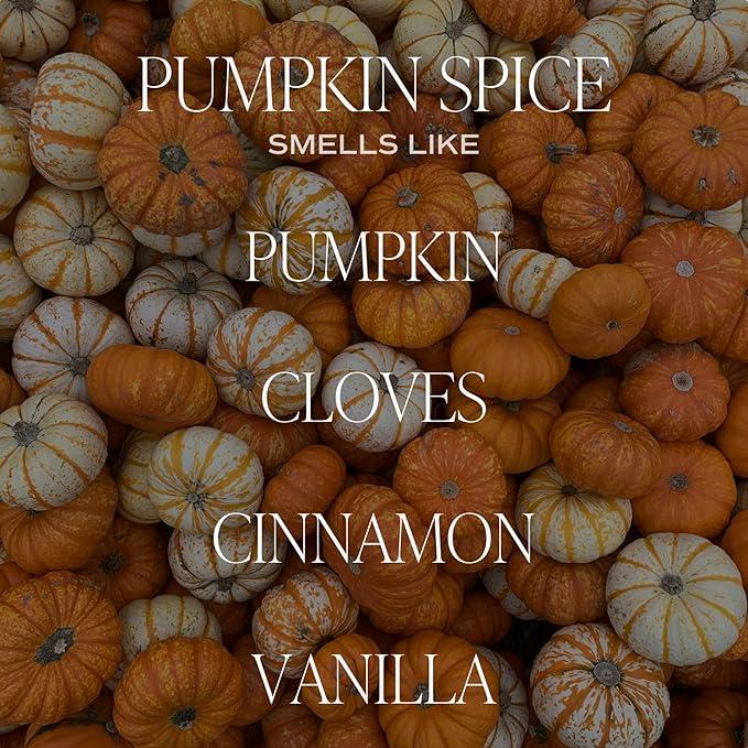 Sweet Water Decor Pumpkin Spice Candle - Fall Candles with Pumpkin, Clover, Cinnamon & Vanilla Scent for Home - Pumpkin Candle with 50 Hours Burn Time - 11Oz Wood Lid White Jar Soy Candles