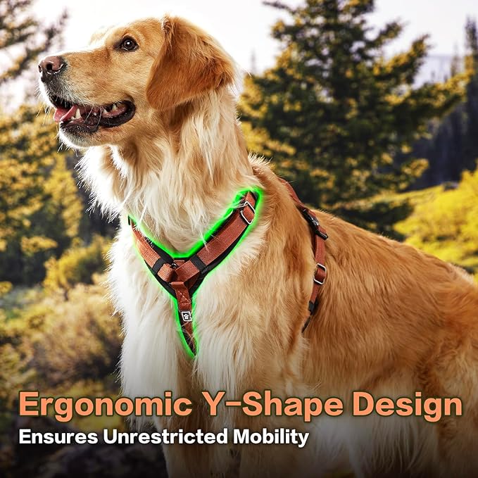 PawsPassion Dog Harness for Medium Dogs, No Pull Dog Harness Easy Walk with Metal Hardware, Ergonomic Y-Shaped Design, Soft Padding, Padded Handle, Durable High-Tensile Nylon (Canyon Red, M)