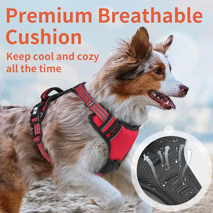 Dog Harness, No-Pull Pet Breathable Harness, Adjustable Soft Padded Dog Vest with 2 Leash Clips, Reflective No-Choke Pet, Easy Control Handle for Large Dogs, Red, S