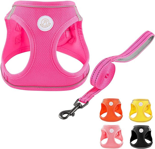 Soft Mesh Dog Harness and Leash Set, No Pull Puppy Harness and Leash Set, Reflective Step in Harness for Small Medium Dogs, Easy Walk Escape Proof Vest Harnesses (Rose Red, M)