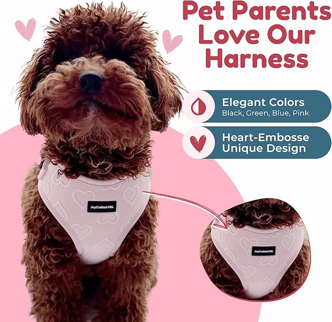 No Pull Puppy Harness and Leash Set – No Choke Neoprene Dog Harness for Extra Small Dogs (5–15lbs) Pink XS, Lightweight Breathable Mesh with Unique Heart Pattern, Adjustable Fit