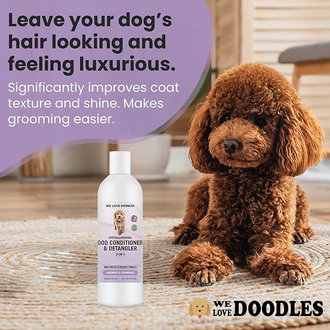 Dog Conditioner & Detangler, 2-in-1 Conditioner for Allergies & Itching, Made in USA, Lotion Treatment for Dogs, Perfect for Poodles, Doodles, & Goldendoodles, 16oz [We Love Doodles]